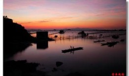 海阳在线 观看,聚焦海阳发展，展现城市风采